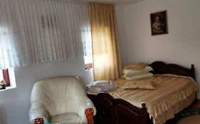 Casa Rodica